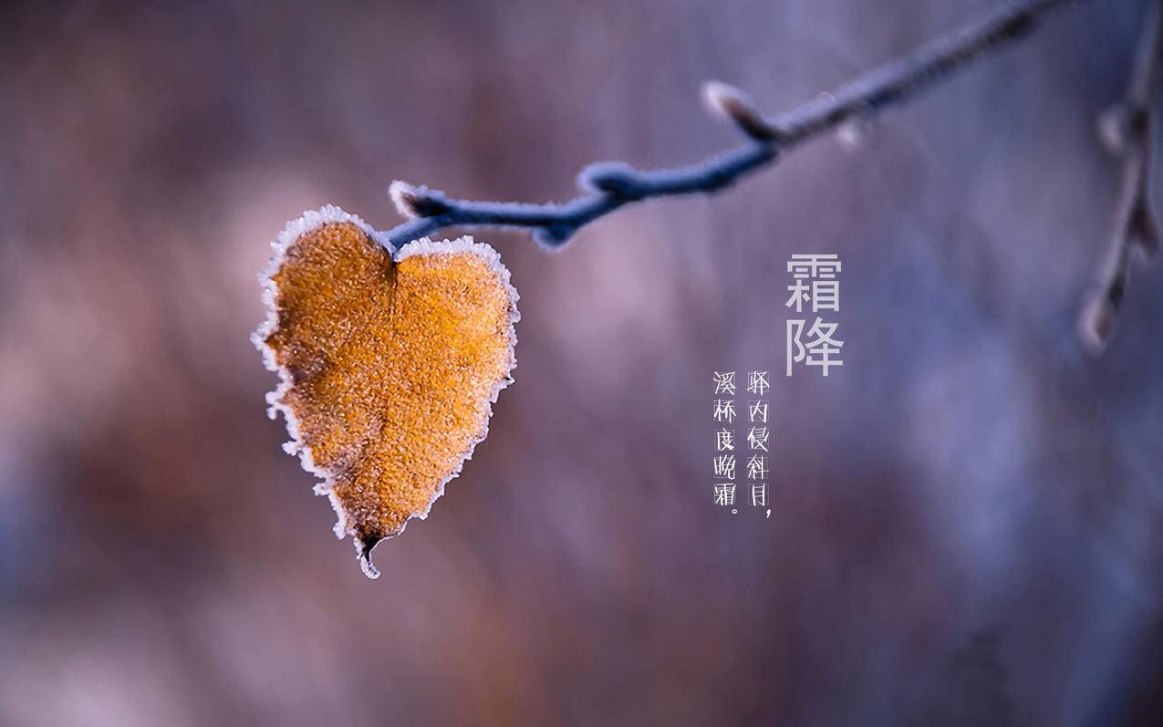 快手买点赞自助平台链接-小九网红商城-qq代刷网qq刷代网